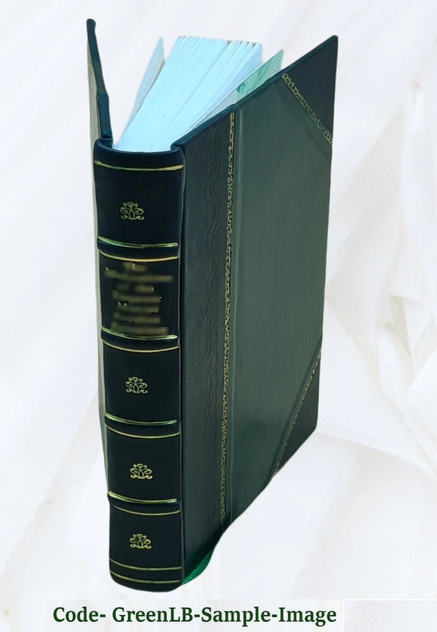 Nobiliaire d'Auvergne ... / J.-B. Bouillet. Volume v.7 1846 [Leather Bound]