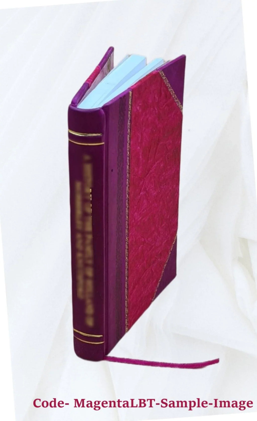 Yad-i ayyam 1919 [Leather Bound]
