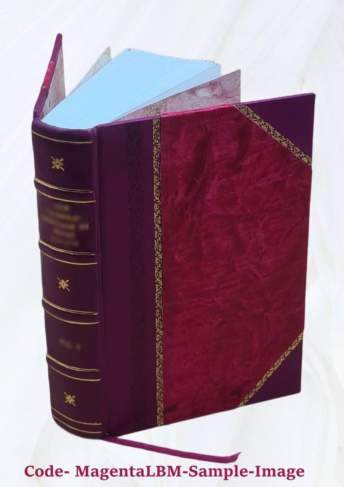 Ogasa-gun chagyōshi. 1926 [Leather Bound]