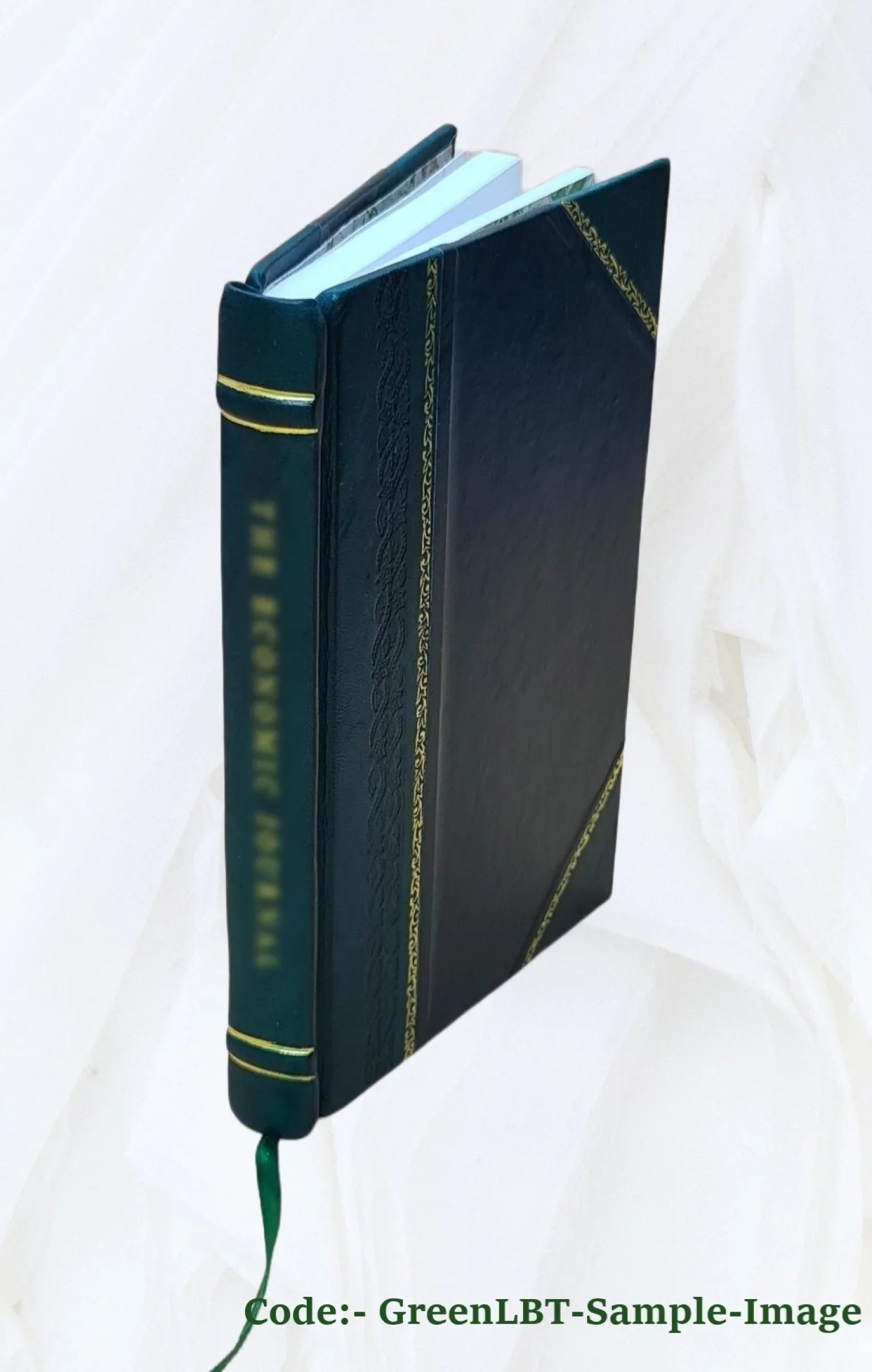Yad-i ayyam 1919 [Leather Bound]