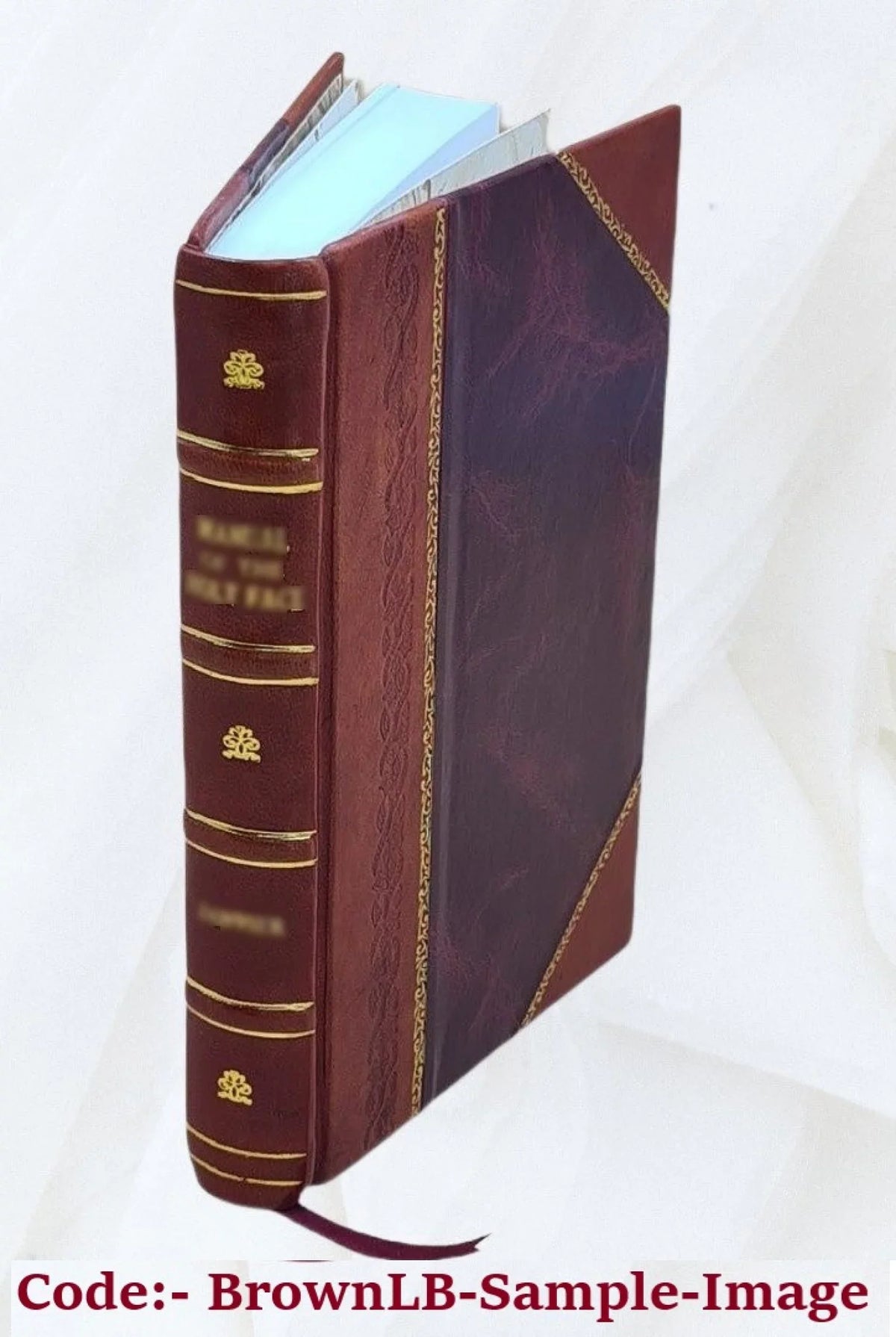 Nobiliaire d'Auvergne ... / J.-B. Bouillet. Volume t.3 1846 [Leather Bound]