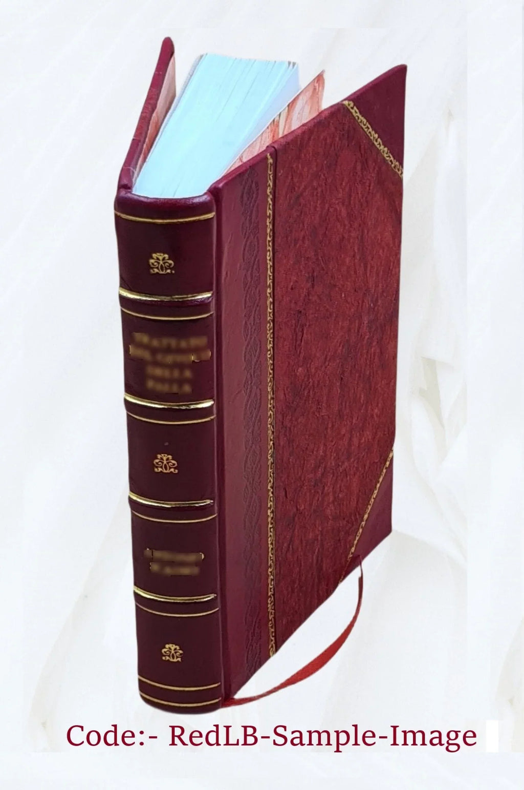 Nobiliaire d'Auvergne ... / J.-B. Bouillet. Volume v.7 1846 [Leather Bound]