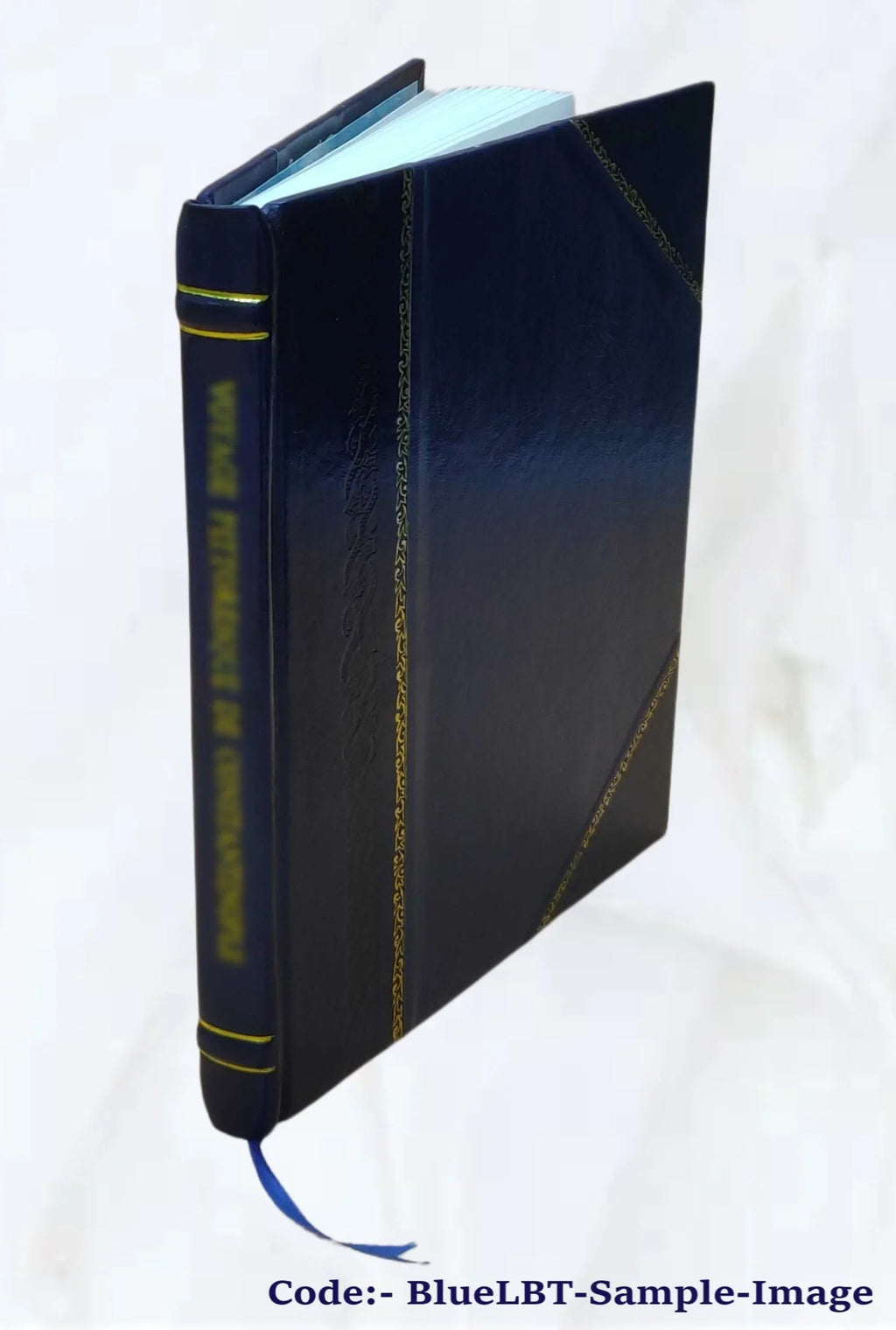Yad-i ayyam 1919 [Leather Bound]