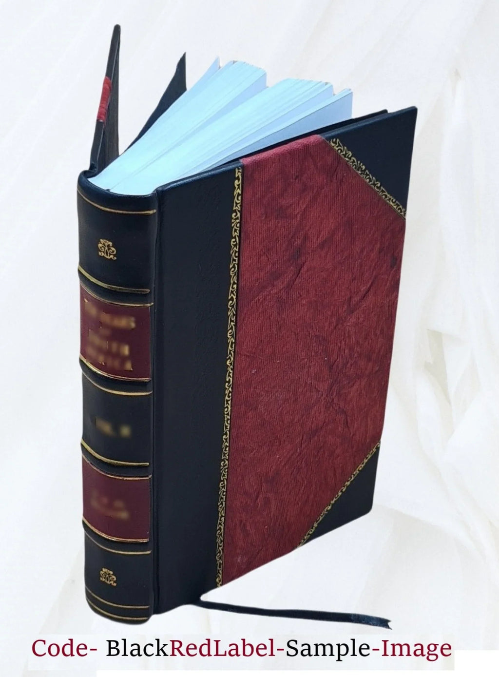 Cartier to Frontenac geographical discovery in the interior of North America in its historical relations, 1534-1700 : with full cartographical illustrations from contemporarysources / by Justin Winsor