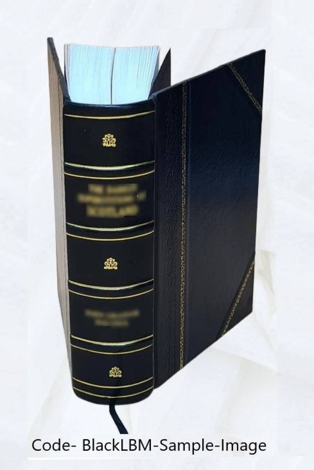Atti. Volume v.15 1926 1926 [LEATHER BOUND]