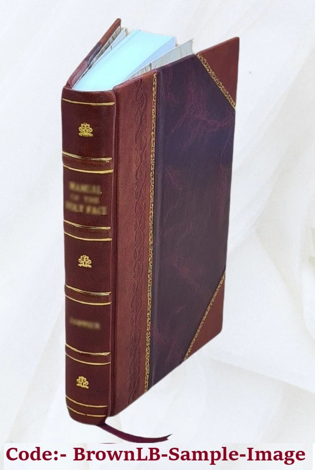En rade 1887 [Leather Bound]